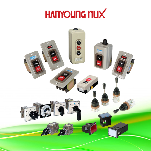 Hanyoung Nux ~ Switches