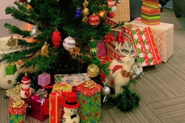 Christmas Celebration_Secret Santa Gift Exchange_DpstarGroup (5)